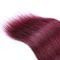 Brasilianische Jungfrau Ombre-Haar-Webart Ombre-Menschenhaar-Erweiterungen 12&quot; bis 26&quot; fournisseur