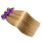 Farbige Jungfrau-Haar-Erweiterung der Brasilianer Ombre-Haar-Webart-einschlag-Farbe#27 gerade fournisseur