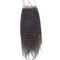 Schließungs-freie Trennmenschenhaar-Schließungs-natürliches Schwarzes der Haar-peruanische Spitze-4x4 fournisseur