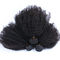Afro-rollt verworrenes gelocktes Haar-brasilianisches Jungfrau-Menschenhaar natürliche schwarze Farbe keine Verwicklung zusammen fournisseur