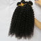 Unverarbeiteter menschlicher Jungfrau-Haar Afro-verworrenes gelocktes reines brasilianisches Haar rollt natürliche Farbe zusammen fournisseur