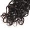 Volles Häutchen-rollt brasilianisches Jungfrau-Haar loses Wellen-Haar-natürliche schwarze Farbe zusammen fournisseur