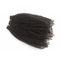 Afro-rollt verworrenes gelocktes Haar-peruanisches Jungfrau-Menschenhaar volle Dichte keine Läuse keine Verwicklung zusammen fournisseur