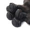 Natürliches schwarzes peruanisches Körper-Wellen-Haar rollt kein Verschütten von nassen und gewellten Erweiterungen zusammen fournisseur