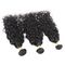 Unverarbeitetes brasilianisches Wellen-Menschenhaar des Wasser-100, natürliche schwarze gelocktes Haar-Bündel  fournisseur