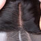 Malaysische freie Spitze-Schließung des Teil-13x4 keine Verwicklung mit natürlicher Haar-Linie fournisseur