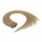 Hand gebundene PU-Band-Haar-Erweiterungs-Haut-brasilianisches Jungfrau-einschlaghaar-freie Probe fournisseur